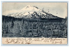 1907 View Of Mountain Street Helens Portland Oregon OR Posted Antique Postcard picture