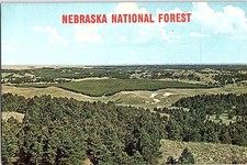Postcard PANORAMIC SCENE Nebraska National Forest Nebraska NE s/06 AJ3317 picture