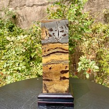 16.4LB  Rare National Treasure Fossil - Authentic Collectible Stone Specimen picture