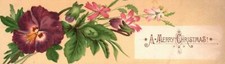 1880s-90s Purple & Pink Blooming Flowers A Merry Christmas Trade Card picture