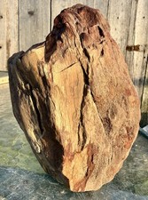 BEAUTIFUL* 4# Petrified Wood Visible Cell Structure & Pretty Wood Grain Pattern picture