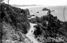 1940s Humboldt County California Redwood Hwy Art Ray RPPC Postcard 26-4192 picture