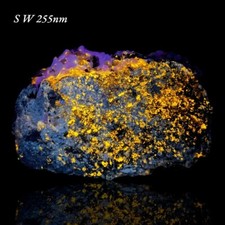 4,260 GM Fluorescent Apatite Crystals with Green Tourmaline on Feldspar @PKP picture