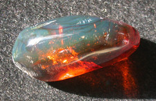 Spider with Insects in BLUE Burmese Amber Fossil Dinosaur Age 8.9 gram picture
