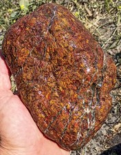 Premium California Central Coast Jasper Agate. Lapidary. 5lbs. 3.3oz. picture