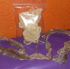 Hoodoo Witchcraft Snakeskin Shedding picture