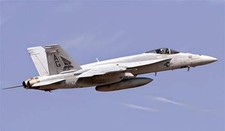 Boeing F/A-18-E/F Super Hornet Fighter Aircraft Wood Model Regular  picture