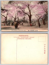 Ueno Park Tokyo Cherry Blossoms Postcard picture