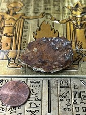 15g Antique Nevada Gold Mine Ore - Raw Sparkling Pyrite & Rusty Iron Matrix picture
