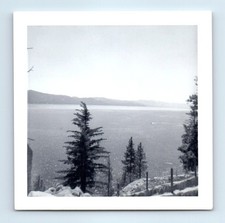 Old Vintage Square Photo LAKE LANDSCAPE FOREST TREES SNAPSHOT PICTURE PHOTOGRAPH picture