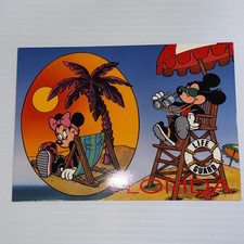 VTG Walt Disney World Postcard 