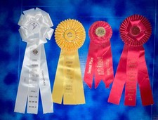 4 AKC Dog Ribbons Rosettes IA WI Puppy Stake Estate Sale 2017 2022 picture