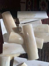 Natural Camel Bone Knife Scales, Polished, 5” X 1 1/2”, No Fillers, All Bone picture