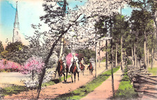 The Carolina Hotel Pinehurst NC Resort Golf Course Southern Pines Postcard B60 picture