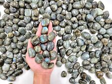 Tumbled Labradorite Crystal Stones - 3/4 inch to 1.5 inch - Bulk Natural Gems picture
