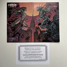 Image Top Cow Witchblade #36 Darkness #28 Keu Cha Signed Variant Set NM 1999 picture