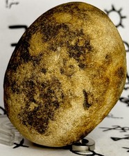 Native American Indian Authentic Ancient Artifact/Effigy, V76 Site Collection picture