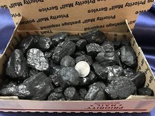 Coal Anthracite Nut Coal 2 Pounds picture