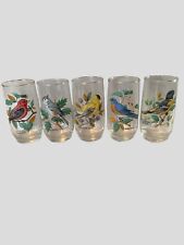 Vintage West Virginia Glassware Songbird Drinking Glasses Gold Rim 5 picture
