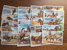 Vintage Gordon Bread Company Horses Recipe Twenty Trading Cards LOT picture