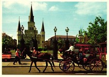 Jackson Square New Orleans LA Postcard French Quarter St. Louis Cathedral Horse picture