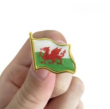 Wales Welsh Dragon Enamel Metal Flag Lapel Pin Badge Brooch Gold picture