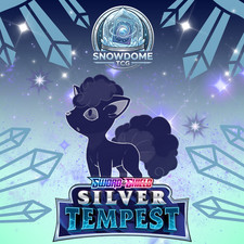 Pokemon Silver Tempest - Common/Uncommon/Rare/Holo/Reverse Holo - Pick Your Card picture