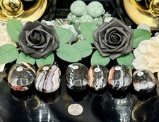 Natural Black Zebra Agate Palm stones gorgeous Quartz  picture