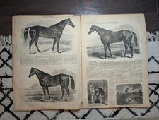 1860 William Walkers Last Stand Honduras King of Naples Prince of Wales Sep 22 picture