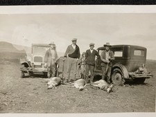 Men Hunting Pronghorn Antelope Rifle Guns Automobile Cars Antique Snapshot Photo picture