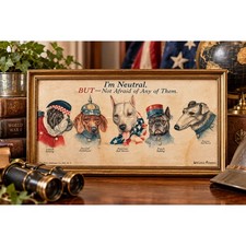 Wallace Robinson WWI 1915 Neutral Dogs Framed Color Print Patriotic Art picture