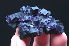 25.8g NATURA Purple Cube FLUORITE Crystal Mineral Specimen/China picture