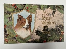 Antique 1908 Dog Postcard M M Rose Holly Embossed Best Wishes Unused picture