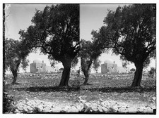 Rachel's Tomb,Bethlehem,Middle East,West Bank,Matson Photo Collection,1898-1946 picture