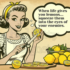 Retro lady life gives you lemons High Quality Fridge Magnet Metal 3x4 371 picture