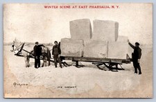 K65/ East Pharsalia New York Postcard c1910 Ice Harvest Occupational Sleigh 315 picture