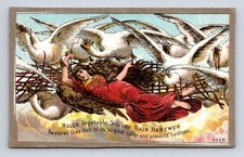 Hall's Vegetable Sicilian Hair Renewer Lady White Geese Victorian Trade Card picture