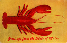 Vintage Maine Lobster Postcard - Greetings from the State of Maine KODACHROME picture
