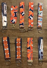 Keychain Lot (9) Illinois Illini picture