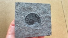 124g Beautiful Square Landscape stone picture
