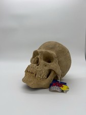 Vintage Fright Stuff Vampire Skull Halloween Horror Decor NEW picture