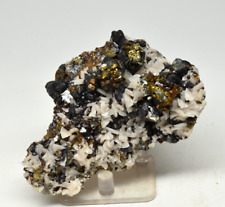 Sphalerite, Dolomite, Chalcopyrite - Mid Continent Mine, Cherokee Co., Kansas picture