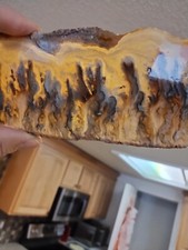 Graveyard Point Plume Agate Slab, Great Plumes, Amazing Piece  4.90 Oz, 139 Gr picture