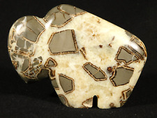 Zuni BUFFALO Fetish Made From a 100% Natural Septarian Nodule Utah 517gr picture