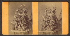 b414, John B May Stereoview, # -, Taxidermy of Birds - Display, 1870s picture