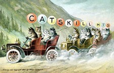 Large Letter Greetings from Catskill Mountains, New York NY Postcard Copy picture