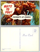 NUTS TO YOU Funny Talking Coconuts Vintage 1966 Dexter Press Postcard picture