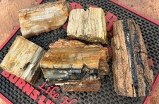 ☘️RR⛏️: 5 PCS Excellent Mixed Lot Arizona Petrified Wood, 5 Lb 🌈 picture