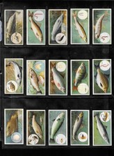 FULL SET: 1924 Imperial Tobacco Company FISH & BAIT picture