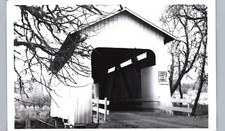 LANE COUNTY COVERED BRIDGE crow or real photo postcard rppc oregon history picture